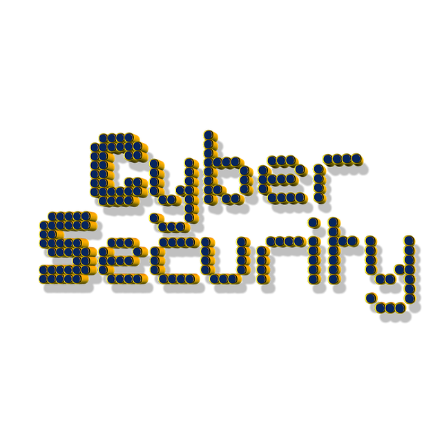 cyber-security-1186530_640 (1)