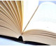 “A Good Read”: The Value of Organizational Reading Lists
