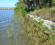 Sustainable Coastal Restoration and Stabilization: Living Shoreline Project on Florida’s East Coast