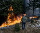 Can Smokey Bear Survive a Forest Fire?