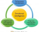 Three Models of Emotional Intelligence