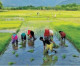 Redefining Farming in India: New Agricultural Policy