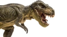 Taming the Dinosaur in the Room: Embracing New Generations of Public Sector Employees to Achieve Innovation