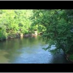 Saluda River (Google Images)