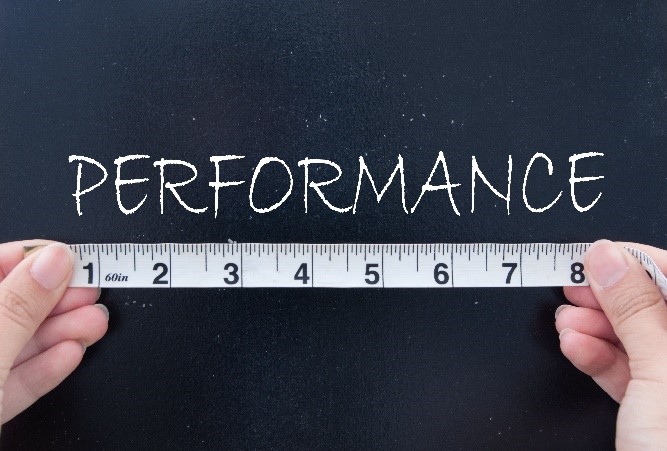 meaning-of-performance-in-government-performance-management-pa