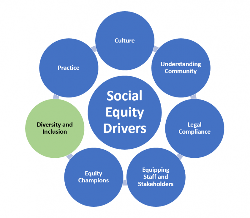 Diversity and Inclusion To Promote Social Equity in Emergency ...